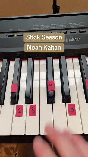 Easy piano tutorial of Stick Season by Noah Kahan! Comment any songs you want me to play! #foryoupage #foryou #fyp #noahkahan #stickseason #piano #pianotutorial #pianocover