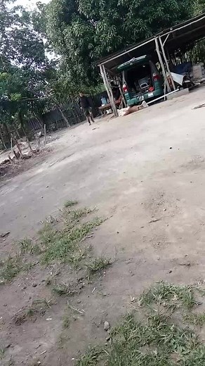 Dodi Dodi Dores (@dodi.dodi.dores1)’s videos with suara asli - 🇮🇩_LASKAR MEDSOS_🇵🇸 - Mas Dendi