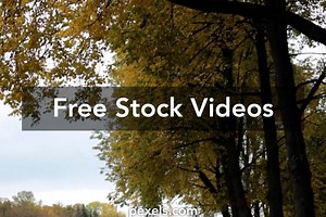 Forest Running Man Videos, Download The BEST Free 4k Stock Video Footage & Forest Running Man HD Video Clips