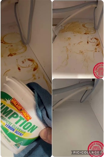 How to remove rust from kitchen shelf ? #AngelicBondBack #MoveOutCleaning #EndOfLeaseCleaning