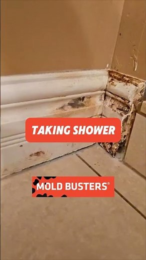 Shower Mold Free Virtual Inspection - Mold Busters