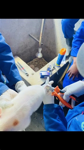 Prioritizing Practical Training in Agriculture