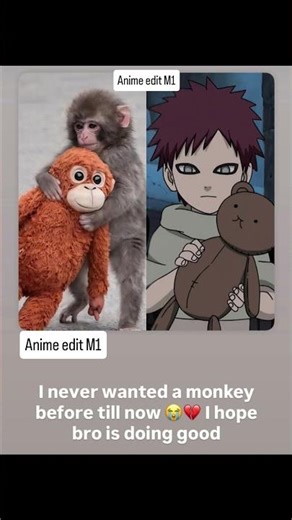 🥹 I never wanted a monkey before till now I hope bro is doing good #trending #viral #shorts #sed
