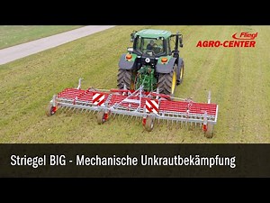 Striegel mechanische Unkrautbekämpfung Hacken Hackstriegel Unkraut