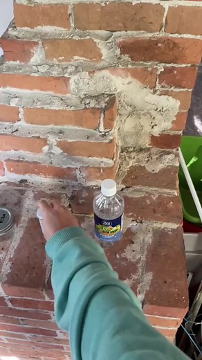 How I’m testing for lead paint in my house 🏚🎨 #oldhouse #renovation #painttest #safetyfirst | ELM DIY