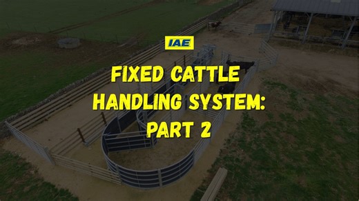 Part 2: Fixed Cattle Handling System Let’s pick up where we left off in the crowding pen of our Fixed Cattle Handling System, to discuss why this design ensures both farmer safety and positive stock flow… Part 3 out tomorrow! #iae1969 #cattlehandling #farmsafety #beeffarming #animalhandling #cattlefarmer | IAE1969