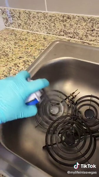 Your cleaning bestie on TikTok