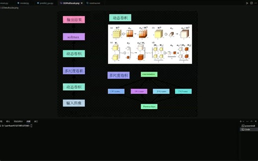 基于多尺度动态卷积的图像分类