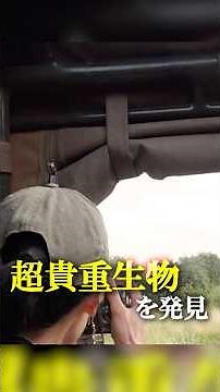 #絶滅動物 ジャーナリスト・#太田ゆか "#ケニア・珍獣#ジェレヌク"『#クレイジージャーニー』11/10(月)