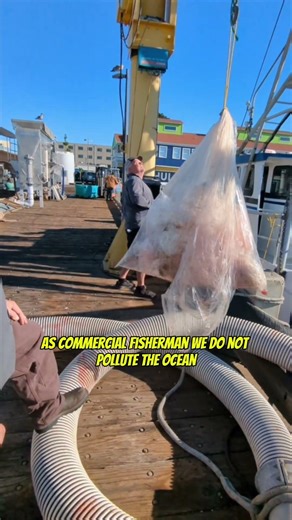 You won't believe what comes out of this fish hole!