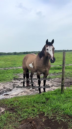 “She’s mean”- everyone that’s ever met beretta #spinitngold #georgia💸 #fyp #mare