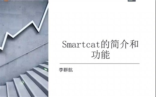 计算机辅助翻译工具Smartcat的简介与功能介绍
