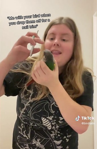 Hold borb gently in birbrito form 🌮