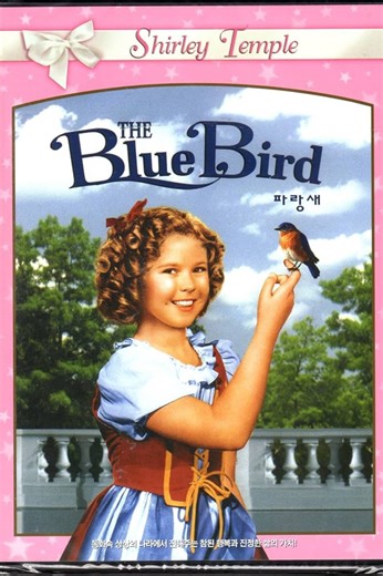 The Blue Bird Summary, Trailer, Cast, Where to Watch and More