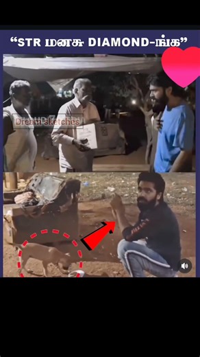 thalapathyvijay anna#trending #viralvideo #trending #viralshort #famous #song #thalapathyvijay #tvk#