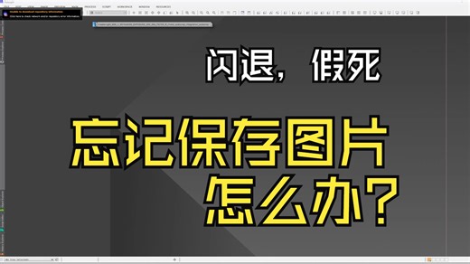 Pixinsight闪退了，但是忘记保存怎么恢复图片？——pixinsight-12