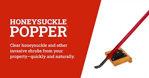 Remove Large Honeysuckle Bushes with Leverage