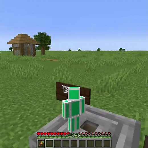 Going Inside Infested Block in Minecraft