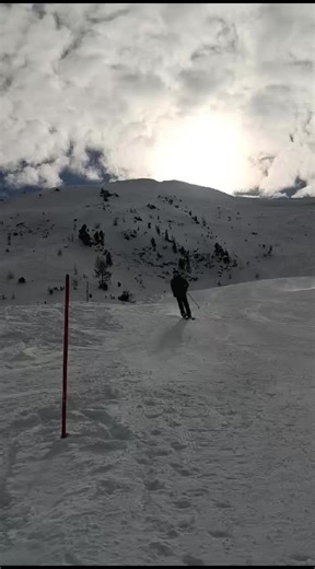 backflip 2025 #freestyle #skis #snow #backflip #flip