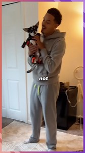 This Dog Can Do HANDSTANDS?! | The Comments Section