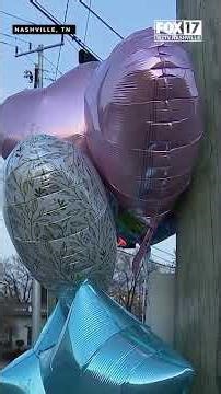 Police seek public’s help in two deadly, New Year's Day hit-and-run crashes in Nashville