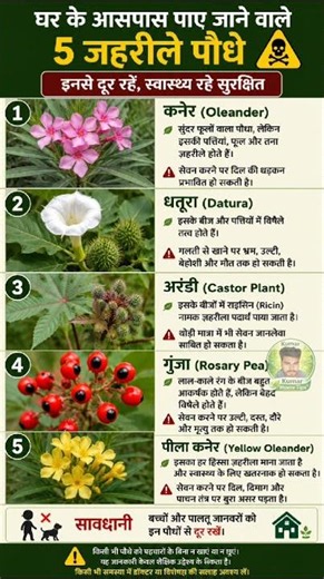 ☠️🧪🗳️घर के आसपास पाए जाने वाले 5 ज़हरीले पौधे | Poisonous Plants Around Home | Health Safety Tips।☠️