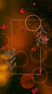 Frame, Border, Petals. Free Stock Video