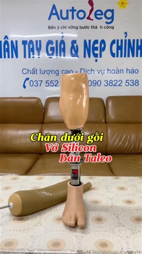 Vớ Silicon và Bàn Cacbon Taleo !