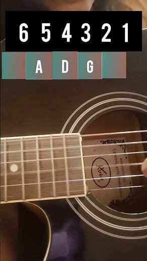 Learning Guitar - Day 14 | How to tune your guitar 🎸