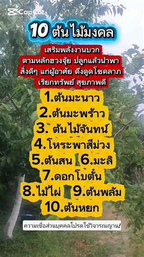 10ต้นไม้มงคลเรียกทรัพย์ #เลขมงคล #คำคม #ไม่เชื่ออย่าลบหลู่ #ความเชื่อ #คําคมชีวิต #คติเตือนใจ #feed