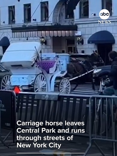 Video shows a runaway carriage horse dashing into traffic, crashing into cars in New York City. The Transport Workers Union, which represents Central Park’s carriage drivers, said that a delivery driver startled the horse. David Muir reports for @abcworldnews.