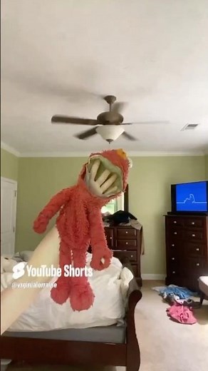 elmo world cameras question