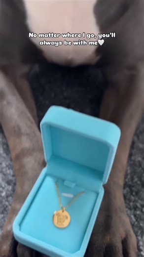 The most beautiful necklace of my beautiful girl🩵 Anyone else always feels guilty leaving the house and as soon as you leave, you miss them? At least now I’ll always have her with me🩷 This really is so special 🫶🏻 Thank you @pupring for my beautiful necklace of my girl🥹 ——————————————————————————— #gifted #bullybreed #endbsl #bullylife #bullylove #endbsl #engraved #necklace #narla #jewellery #fyp #xlbully | Narlathexlbullly