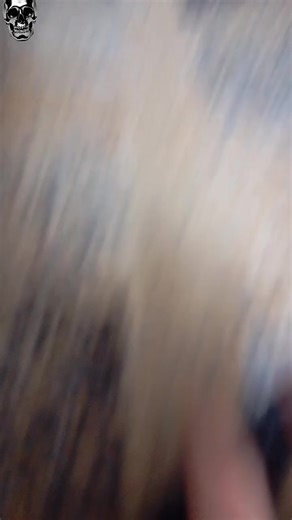 Bill Cipher (10) (@billcipher094)’s videos with INSANE - Hazbin Boss