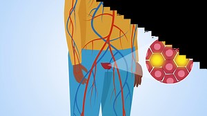 38K views · 34 reactions | Cancer happens when a cell loses control over its division and doesn’t die as it should. With over 200 types, cancers are named for their originating cells. Factors like tobacco, sun exposure, diet, obesity, and family history can increase risk, though sometimes cancer occurs by chance. Many treatments exist, and early detection improves patient outcomes. Watch our animation to find out more: | Sci Ani | Facebook