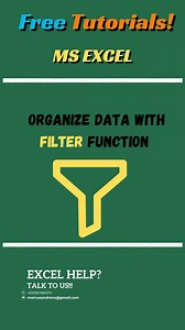 Organize Data with Filter Function. #ExcelTips #DataAnalysis #Excel #exceltricks #exceltraining #exceltips #exceltipsandtricks #exceltraining #exceltutorial #excelformulas #msexceltraining #msexceltips #Microsoft #microsoftexcel #msword #mswordtricks #microsoftWord #microsoftexcel #Microsoft365 #GoogleSheets #googlesheetstips #marcusandreno #freelancer #Freelancing #freelancelife #freelancertips #freelancingtips #workfromhome #workfromhomelife #virtual #VirtualAssistant #onlinejobs #reels2024 #r