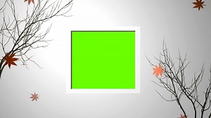 Download green screen frame autumn tree branch for free