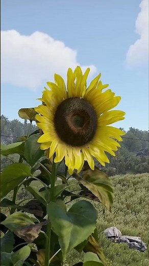 rust cooking 2.0 update overview on staging