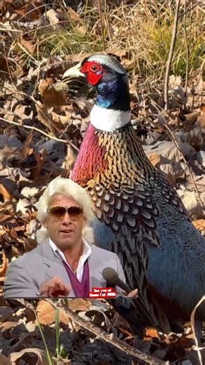 37 reactions | Counting down the days to Game Fair 2026! You’d look good as an exhibitor with a booth at our 45th anniversary. Learn more at www.GameFair.com | Game Fair | Facebook