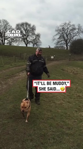 Funny Fails Video Compilation | United Kingdom