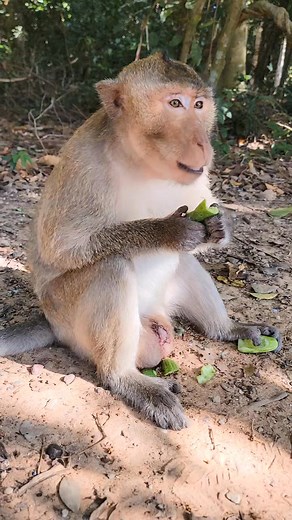 Autumn hand | Hand Products