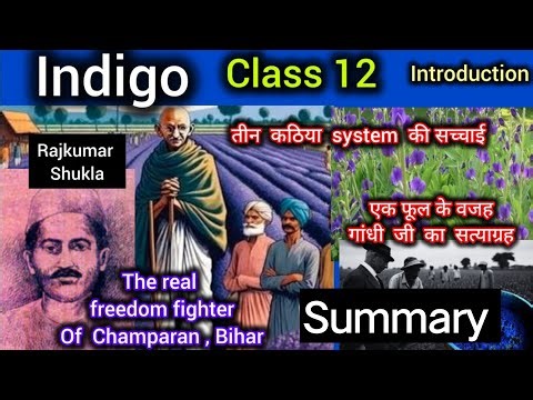 Indigo class 12 Summary ( Flamingo book ) the story of Indigo Farming in Champaran Village #english