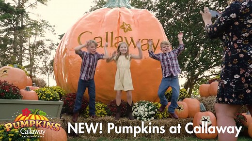 Fall into a new family tradition. Watch the gardens transform during Pumpkins at Callaway, select dates thru 10/31. | Callaway Resort & Gardens