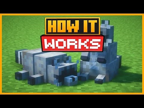 🟨 ALL ABOUT the RACCOONS in the ALEX’S MOBS in MINECRAFT - SHOWCASE