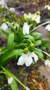 Better Usaa Auto Insurance 🧶 Wollongong