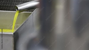 The process of olive cleaning and defoliation in a modern italian oil mill. Oil Production. Fresh extra virgin olive oil