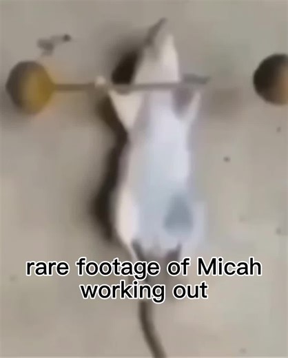 Funny RDR2 Memes Featuring Micah and Rats