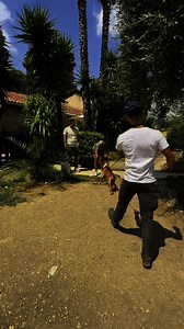 201K views · 6.8K reactions | Une merveilleuse adoption ❤️ | Fondation Assistance Aux Animaux | Facebook