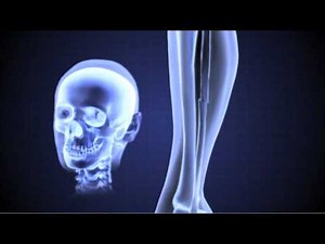 Tour of the EMS 07 - X-Rays