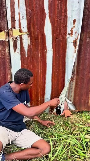 10 Interesting Facts About Buses – How Many Did You Know? Part 1 | Jack fans